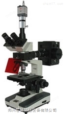 数码落射荧光显微镜SP-BM-13CS