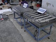 上海30公斤电子计数秤，皮带秤
