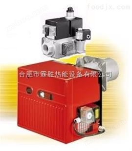 GS20燃气燃烧器/FS20燃气燃烧器