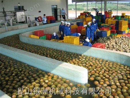 菠萝浓缩汁生产线