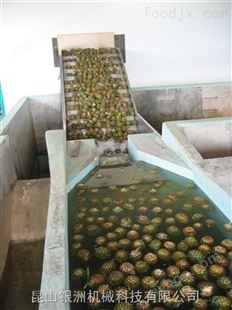 菠萝浓缩汁生产线