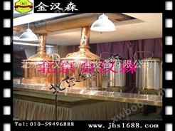 北京厂家手工啤酒设备供应