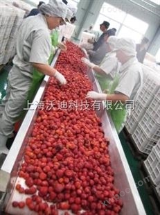 沃迪装备Triowin工业型蓝莓草莓加工设备/蓝莓汁草莓汁生产线
