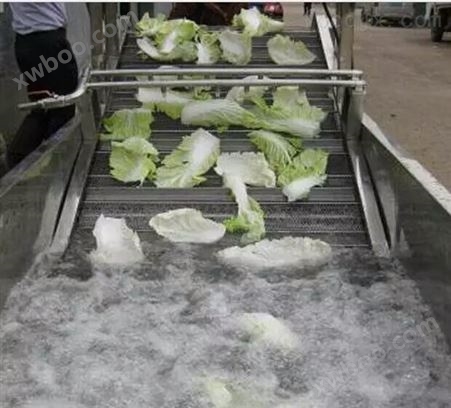 蔬菜清洗机价格