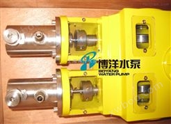 2J-X系列柱塞式计量泵，计量泵