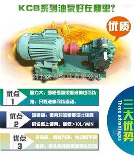 2CY-5/0.33齿轮泵_汽油泵_柴油泵_会泉泵业