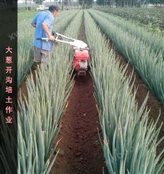 黄梅县农用开沟培土机 果园除草机价格型号