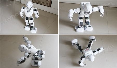 17自由度人形机器人