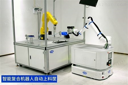 FV-FH100复合移动工业机器人