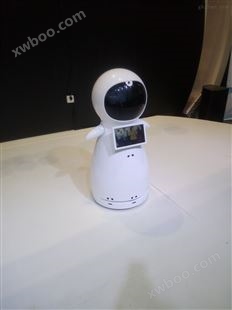上海智能家庭机器人