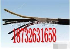 供应销售CEFR船用橡套软电缆3*10+1*6CEFR电缆价格