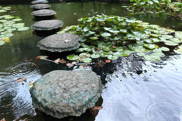 中央第一生态环境保护督察组向北京市交办第四批群众信访举报件