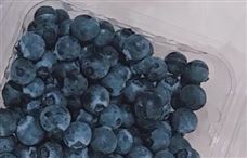 塞尔维亚的蓝莓来了，蓝莓保鲜了解一下