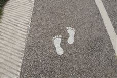 皮革产业寻路“十五五”：智能与绿色双轮驱动