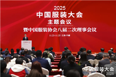 陈大鹏：中国服装协会八届二次理事会报告